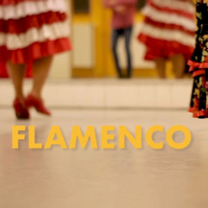 Flamenco Onlinekurs Anfänger