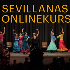 Sevillanas Onlinekurs