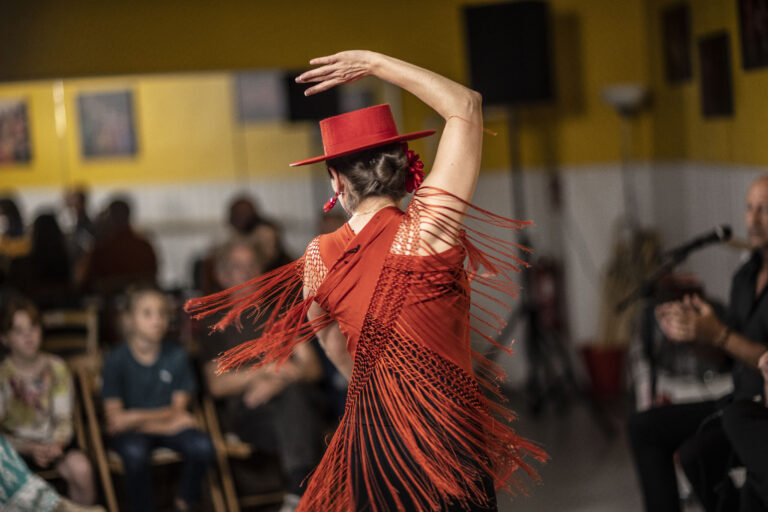 Flamenco Anfängerworkshop